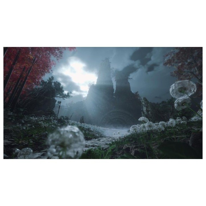 WUCHANG: Fallen Feathers - Jeu PS5 WUCHANG: Fallen Feathers - Jeu PS5
