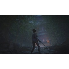 WUCHANG: Fallen Feathers - Jeu PS5