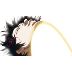 Baki Hanma Blood Arena - Jeu Nintendo Switch