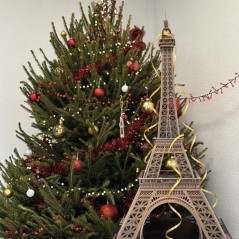 Puzzle 3D - Tour Eiffel - EXPLORA - 540041 - 314 pieces - Niveau 10 -