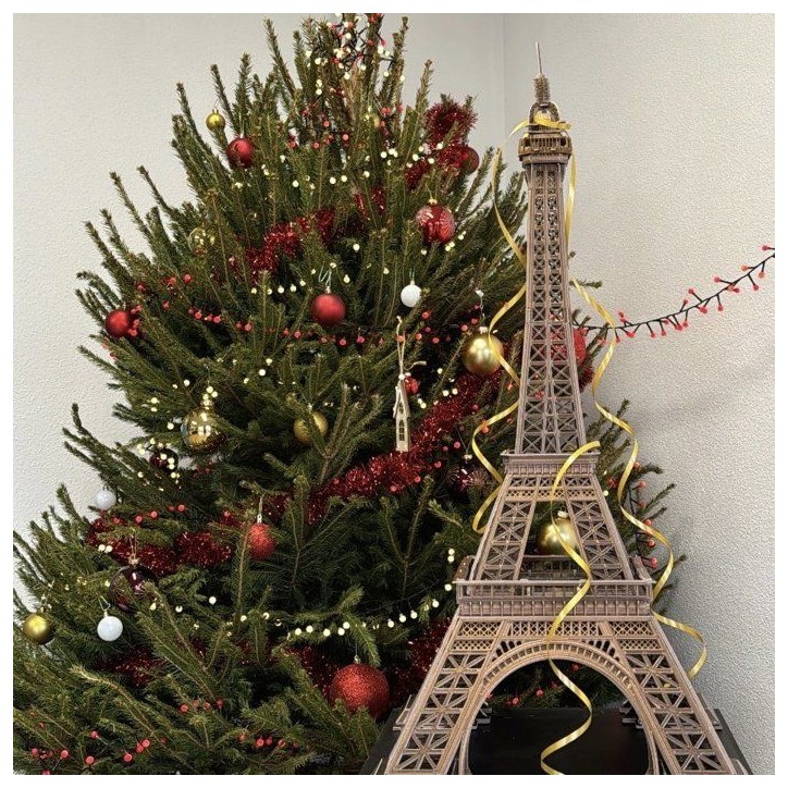 Puzzle 3D - Tour Eiffel - EXPLORA - 540041 - 314 pieces - Niveau 10 - Maquette - Des 10 ans Puzzle 3D - Tour Eiffel - EXPLORA - 540041 - 314 pieces - Niveau 10 - Maquette - Des 10 ans