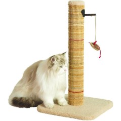 Poteau griffoir chat - ZOLUX - Sisal - Avec jouet suspendu - 60 cm - B