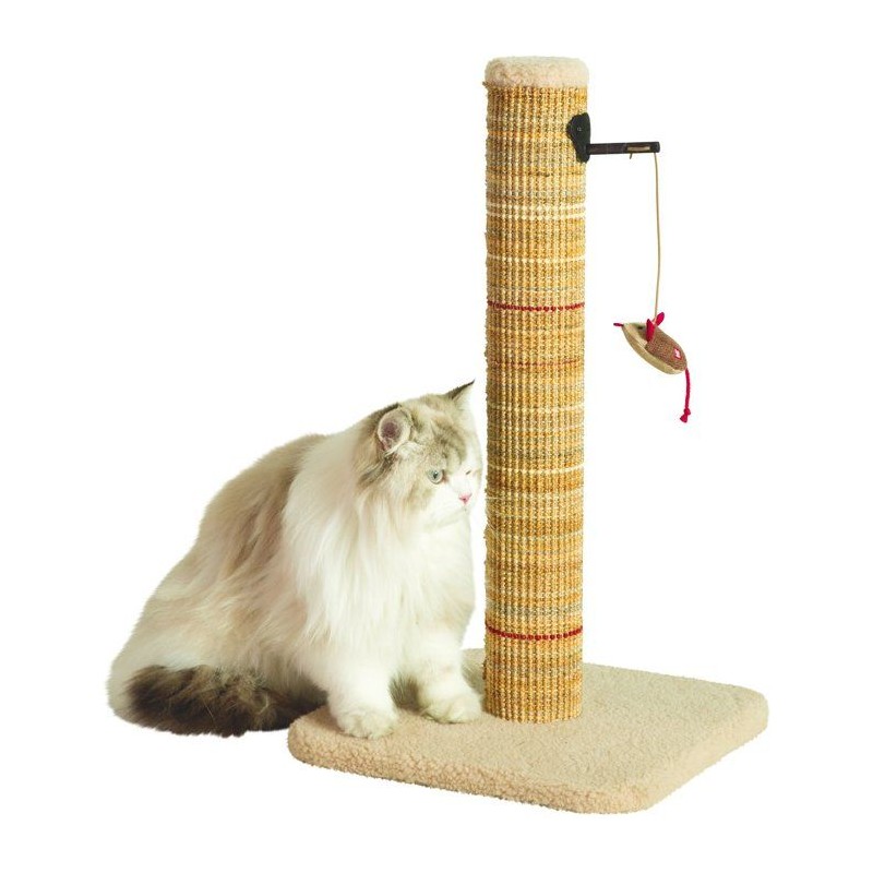 Poteau griffoir chat - ZOLUX - Sisal - Avec jouet suspendu - 60 cm - B