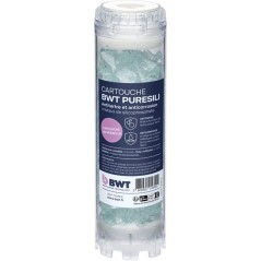 Pack cartouches annuel - BWT - ARCTIC 20 µm + PURESILI - Anti-impuret
