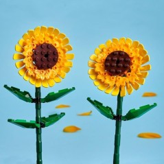 LEGO Botanicals 40524 Tournesols - Kit de Construction de Fleurs Artif