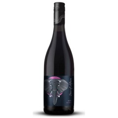 Stellenbosch Vineyards Star of Africa 2023 Pinotage - Vin rouge d'Afri