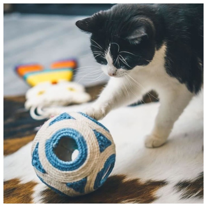 Griffoir XXL - AIMÉ - Boule Bleue + 1 Balle 11.5cm Griffoir XXL - AIMÉ - Boule Bleue + 1 Balle 11.5cm