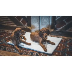 Couchage pour chien - AIME - Tapis plat - Taille L - 80 x 60 x 3 cm