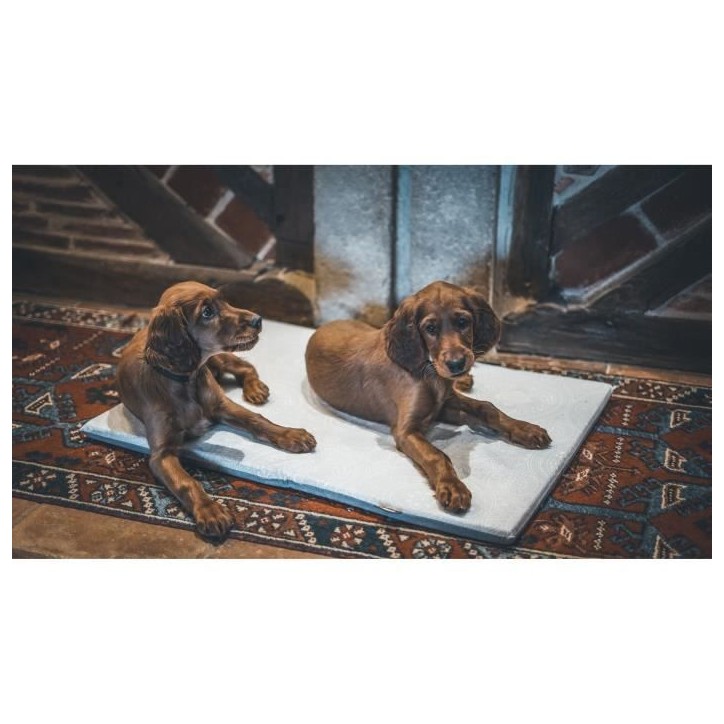 Couchage pour chien - AIME - Tapis plat - Taille L - 80 x 60 x 3 cm Couchage pour chien - AIME - Tapis plat - Taille L - 80 x 60 x 3 cm