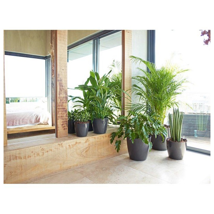 Pot de fleurs - ARTEVASI - San Remo SWS 30 BR - Intérieur/extérieur - Plastique - Ø30 x H27 cm - 14,5 L - Rouge foncé Pot de fleurs - ARTEVASI - San Remo SWS 30 BR - Intérieur/extérieur - Plastique - Ø30 x H27 cm - 14,5 L - Rouge foncé