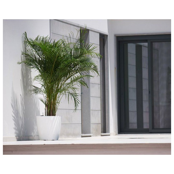 Pot de fleurs - ARTEVASI - San Remo SWS 30 BR - Intérieur/extérieur - Plastique - Ø30 x H27 cm - 14,5 L - Rouge foncé Pot de fleurs - ARTEVASI - San Remo SWS 30 BR - Intérieur/extérieur - Plastique - Ø30 x H27 cm - 14,5 L - Rouge foncé
