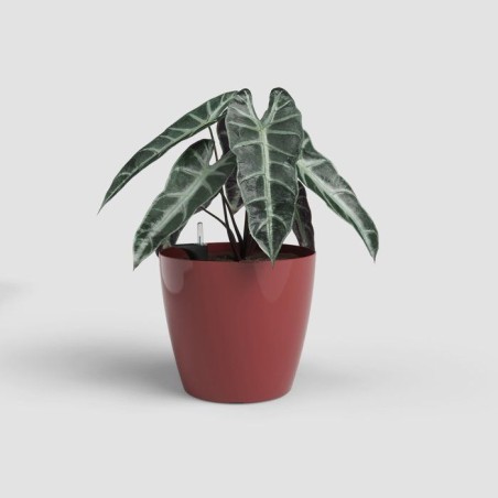 Pot de fleurs - ARTEVASI - San Remo SWS 36 BR - Intérieur/extérieur - Plastique - Ø36 x H33,5 cm - 25 L - Rouge foncé