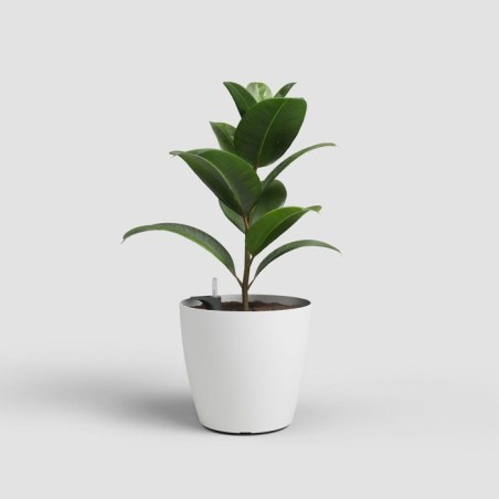 Pot de fleurs - ARTEVASI - San Remo SWS 30 MA - Intérieur/extérieur - Plastique - Ø30,5 x H27 cm - 14,5 L - Blanc