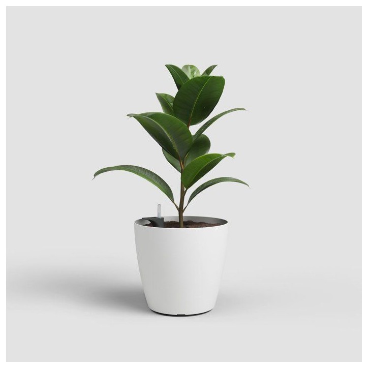 Pot de fleurs - ARTEVASI - San Remo SWS 30 MA - Intérieur/extérieur - Plastique - Ø30,5 x H27 cm - 14,5 L - Blanc Pot de fleurs - ARTEVASI - San Remo SWS 30 MA - Intérieur/extérieur - Plastique - Ø30,5 x H27 cm - 14,5 L - Blanc