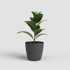 Pot de fleurs - ARTEVASI - San Remo SWS 30 MA - Intérieur/extérieur - Plastique - Ø30,5 x H27 cm - 14,5 L - Gris anthracite