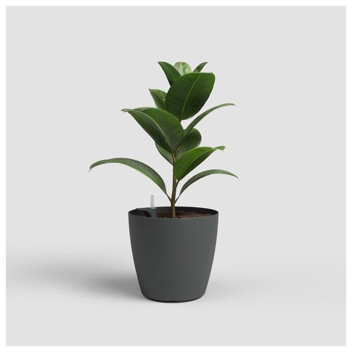 Pot de fleurs - ARTEVASI - San Remo SWS 30 MA - Intérieur/extérieur - Plastique - Ø30,5 x H27 cm - 14,5 L - Gris anthracite Pot de fleurs - ARTEVASI - San Remo SWS 30 MA - Intérieur/extérieur - Plastique - Ø30,5 x H27 cm - 14,5 L - Gris anthracite