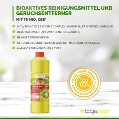 Nettoyant concentré - VETOCANIS - Bogar - 100 ml - Sans odeur - Multi