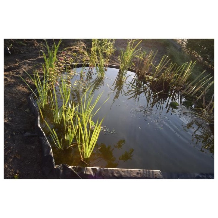 Bordure de jardin en PVC recyclé Borderfix - NATURE - Epaisseur 7 mm - H14 cm x 15 m Bordure de jardin en PVC recyclé Borderfix - NATURE - Epaisseur 7 mm - H14 cm x 15 m