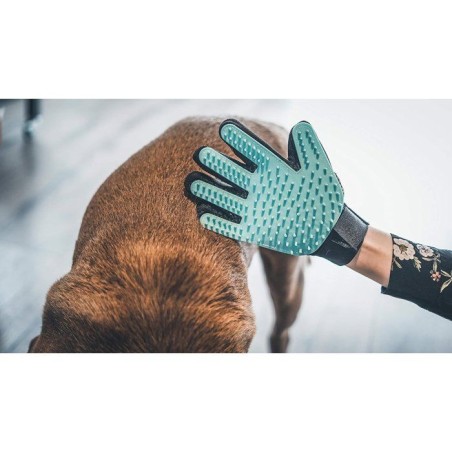 Gant de toilettage - VETOCANIS - 4 en 1 - Silicone - Nettoyage - Massage - Poils