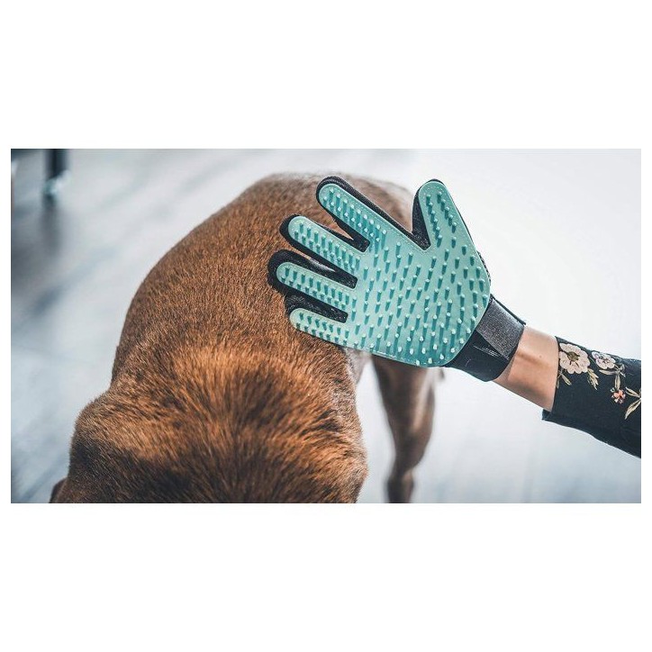 Gant de toilettage - VETOCANIS - 4 en 1 - Silicone - Nettoyage - Massage - Poils Gant de toilettage - VETOCANIS - 4 en 1 - Silicone - Nettoyage - Massage - Poils