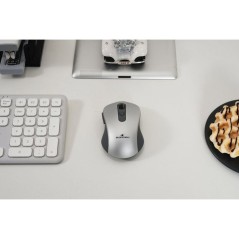 Souris - 2.4GHz+Bluetooth - BLUESTORK - Rechargeable 4800 DPI - Gris