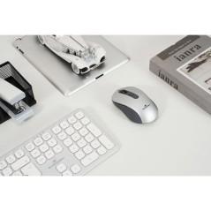 Souris - 2.4GHz+Bluetooth - BLUESTORK - Rechargeable 4800 DPI - Gris