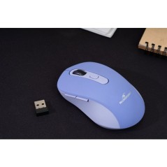 Souris - 2.4GHz+Bluetooth - BLUESTORK - Rechargeable 4800 DPI - P