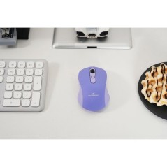 Souris - 2.4GHz+Bluetooth - BLUESTORK - Rechargeable 4800 DPI - P