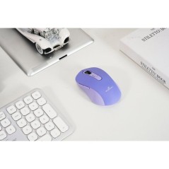 Souris - 2.4GHz+Bluetooth - BLUESTORK - Rechargeable 4800 DPI - P
