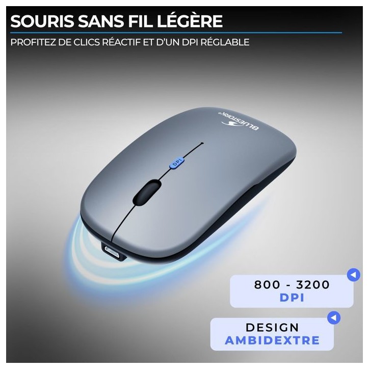 Souris - Sans fil - BLUESTORK - M-WL-OFF105 - Silencieuse - Bluetooth ou dongle 2,4 GHz - Gris/Noir Souris - Sans fil - BLUESTORK - M-WL-OFF105 - Silencieuse - Bluetooth ou dongle 2,4 GHz - Gris/Noir