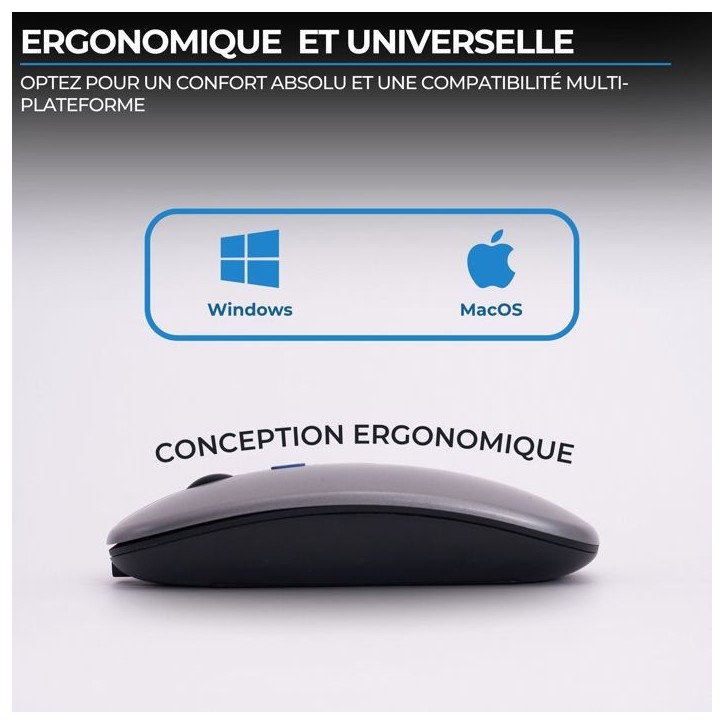 Souris - Sans fil - BLUESTORK - M-WL-OFF105 - Silencieuse - Bluetooth ou dongle 2,4 GHz - Gris/Noir Souris - Sans fil - BLUESTORK - M-WL-OFF105 - Silencieuse - Bluetooth ou dongle 2,4 GHz - Gris/Noir