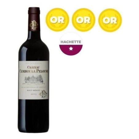 Château Cambon La Pelouse 2013 Haut Médoc Cru Bourgeois - Vin rouge