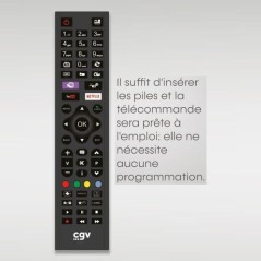 Télécommande de remplacement - CGV - FIDELIO Samsung - Pour télévi
