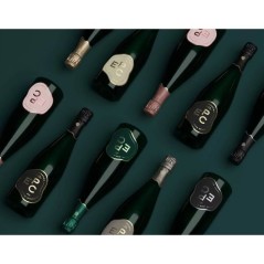Magnum Champagne EPC Blanc de Blancs Brut - 1,5L