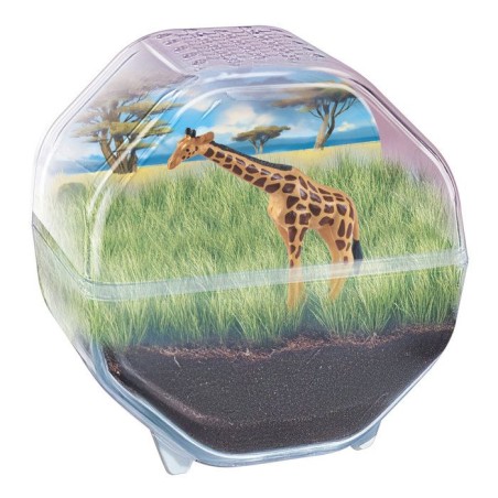 Mini Terrarium - Clementoni - Girafe - Jeu de sciences et d'expériences - Des 7 ans - Fabriqué en Italie
