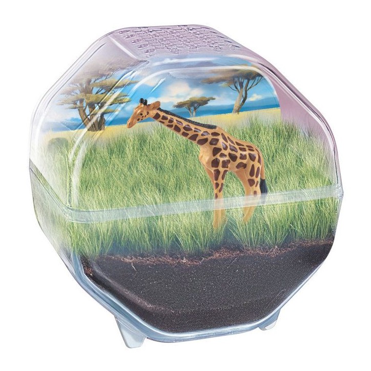 Mini Terrarium - Clementoni - Girafe - Jeu de sciences et d'expériences - Des 7 ans - Fabriqué en Italie