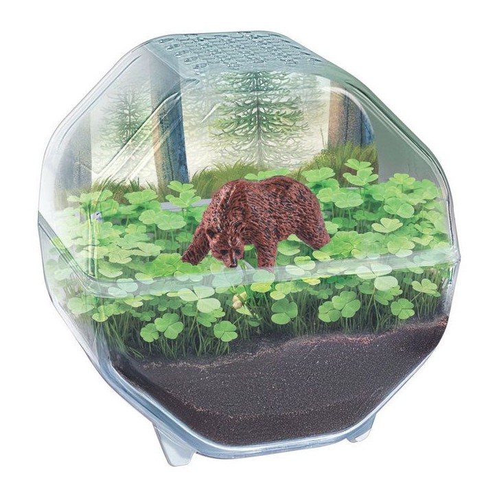 Mini Terrarium - Clementoni - Ours - Jeu de sciences et d'expériences - Des 7 ans - Fabriqué en Italie Mini Terrarium - Clementoni - Ours - Jeu de sciences et d'expériences - Des 7 ans - Fabriqué en Italie