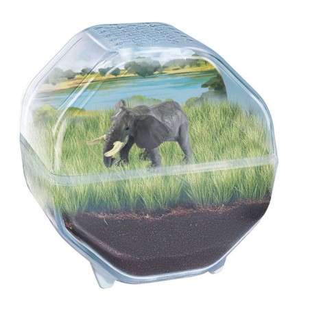 Mini Terrarium - Clementoni - Éléphant - Jeu de sciences et d'expériences - Des 7 ans - Fabriqué en Italie