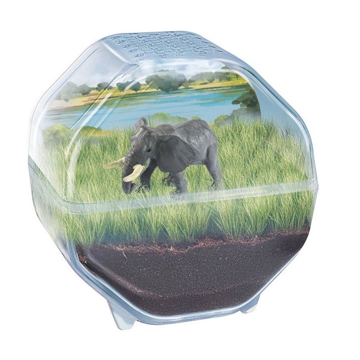 Mini Terrarium - Clementoni - Éléphant - Jeu de sciences et d'expériences - Des 7 ans - Fabriqué en Italie Mini Terrarium - Clementoni - Éléphant - Jeu de sciences et d'expériences - Des 7 ans - Fabriqué en Italie