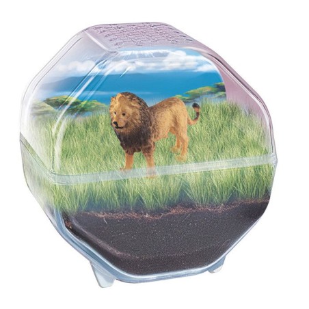 Mini Terrarium - Clementoni - Lion - Jeu de sciences et d'expériences - Des 7 ans - Fabriqué en Italie