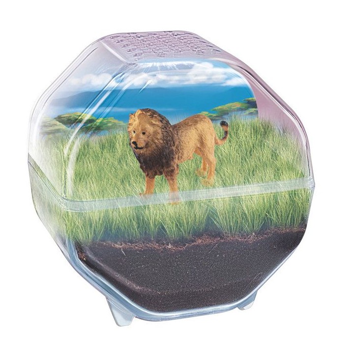 Mini Terrarium - Clementoni - Lion - Jeu de sciences et d'expériences - Des 7 ans - Fabriqué en Italie Mini Terrarium - Clementoni - Lion - Jeu de sciences et d'expériences - Des 7 ans - Fabriqué en Italie