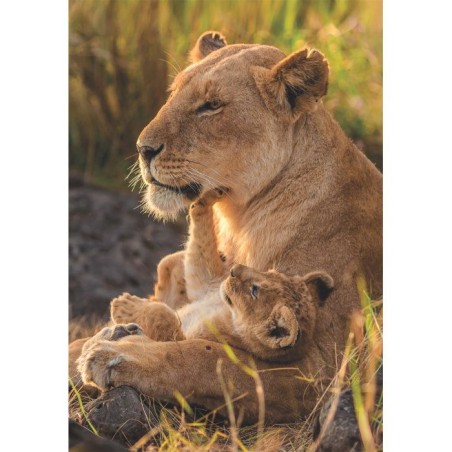 CLEMENTONI - Compact 500 pieces - Feline Love