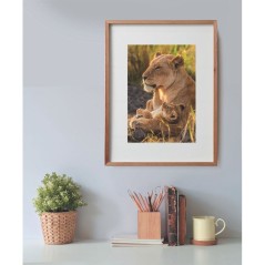 CLEMENTONI - Compact 500 pieces - Feline Love