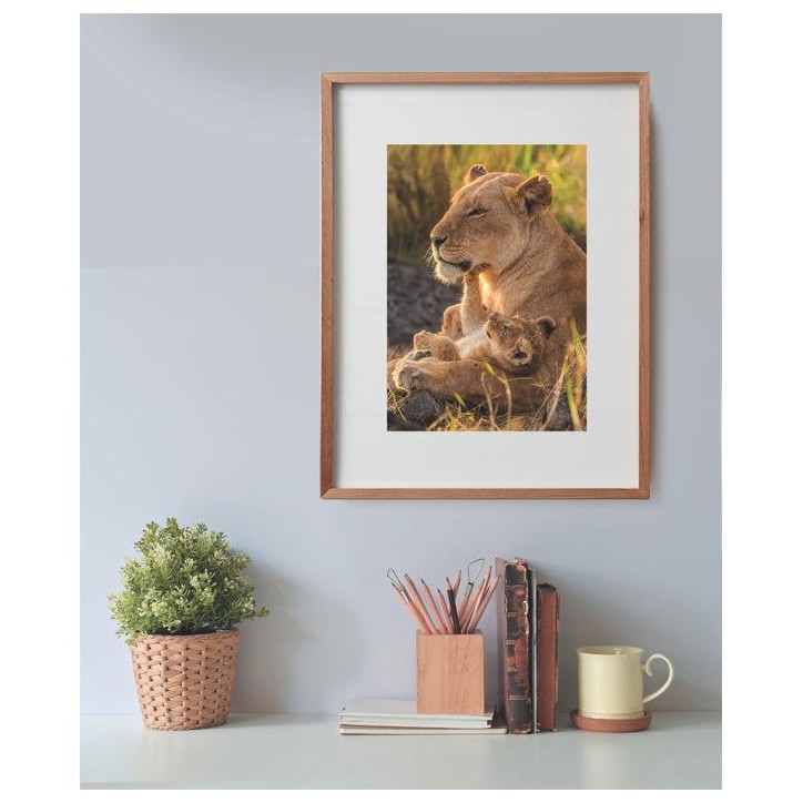 CLEMENTONI - Compact 500 pieces - Feline Love CLEMENTONI - Compact 500 pieces - Feline Love