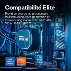 Kit mémoire gamer - CRUCIAL Pro OC - CP2K16G64C32U5B - 32 Go (2x 16