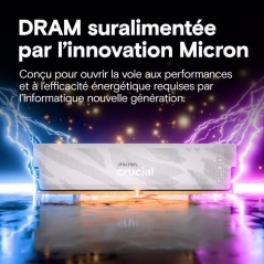 Kit mémoire gamer - CRUCIAL Pro OC - CP2K16G64C32U5W - 32 Go (2x 16