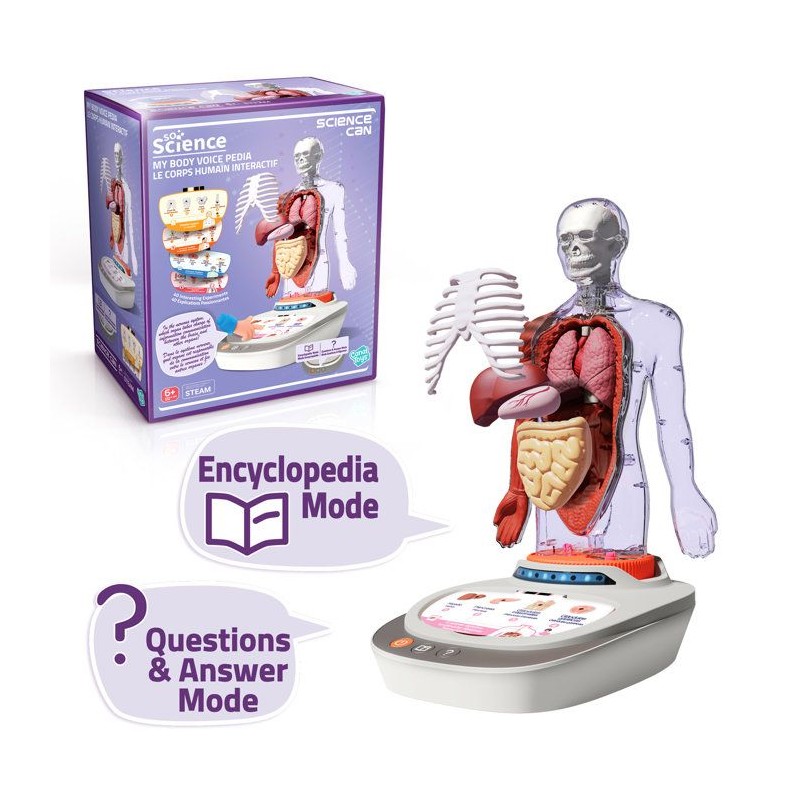 Canal Toys - So Science - Le corps humain interactif 3D avec organes a