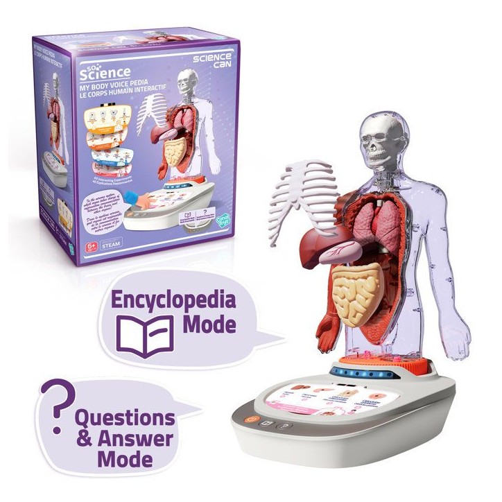 Canal Toys - So Science - Le corps humain interactif 3D avec organes amovibles et quiz éducatif - COS 005