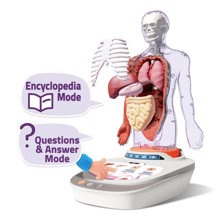 Canal Toys - So Science - Le corps humain interactif 3D avec organes amovibles et quiz éducatif - COS 005