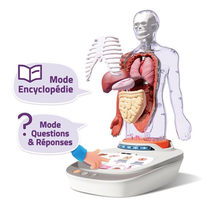 Canal Toys - So Science - Le corps humain interactif 3D avec organes amovibles et quiz éducatif - COS 005